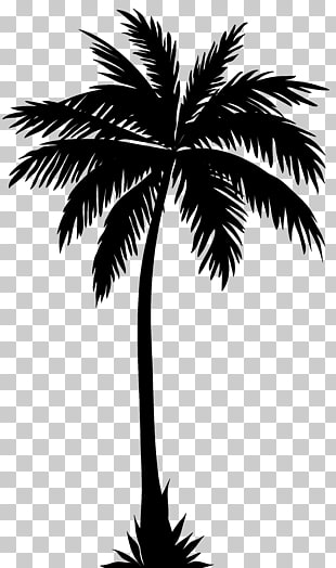 Arecaceae Silhouette , Palm Tree Silhouette PNG clipart