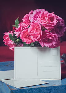 photo of pink petaled flowers near printer paper thumbnail
