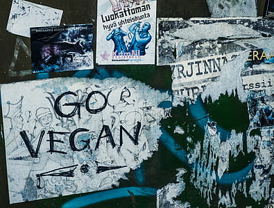 wall full of flyers and graffitis thumbnail