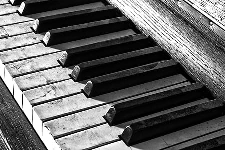 piano keys grayscale photo thumbnail