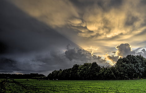 crepuscular rays with green leafed trees thumbnail