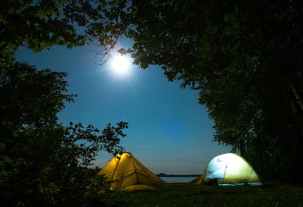 two white and brown dome tents near green trees thumbnail