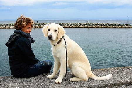 woman sitting on sea dock beside leashed dogf thumbnail
