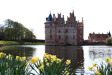 castle beside body of water thumbnail