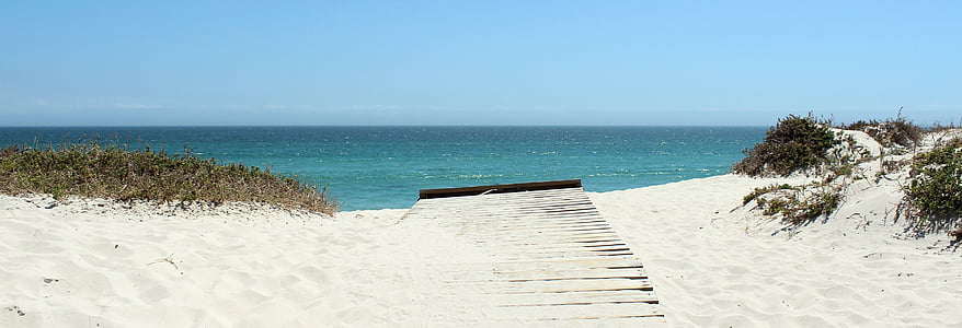 green grass on seashore thumbnail