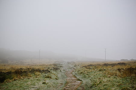 photo of green grass field under gray sy thumbnail