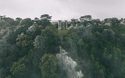 fort in the middle of forest during daytime thumbnail