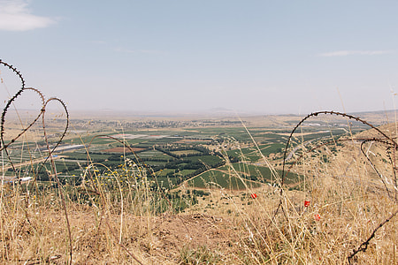 brown barb wire surrounded by brown grass thumbnail