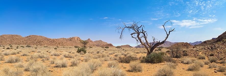 brown bare tree near mountain under cloudy sky thumbnail