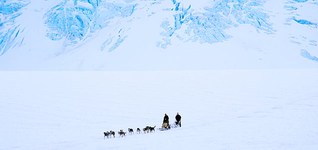 two person riding wolves on snow thumbnail