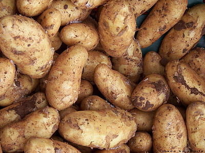 pile of potatoes thumbnail