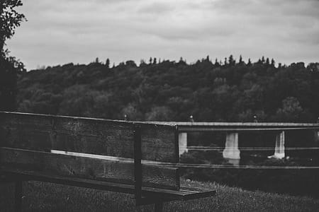 bridge, tree, mountain, forest, woodland, bench thumbnail