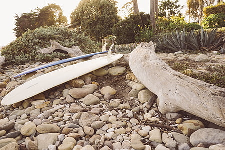white and blue surfboards thumbnail
