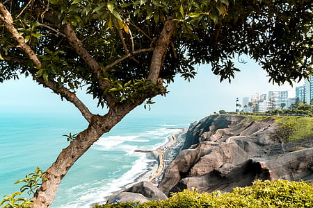 cliff near buildings and sea under blue skies thumbnail