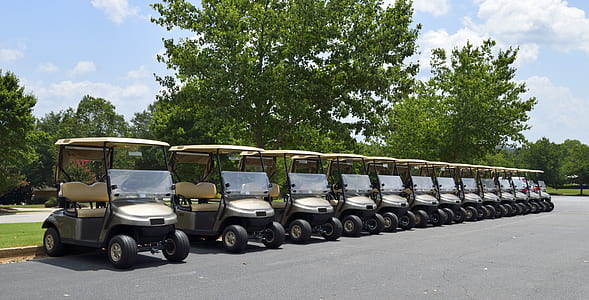 golf cart parked beside tree at daytime thumbnail