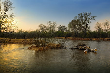photography of trees near body of water thumbnail