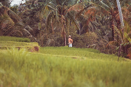 man carrying child at the field near trees during day thumbnail