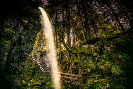 waterfalls and trees thumbnail