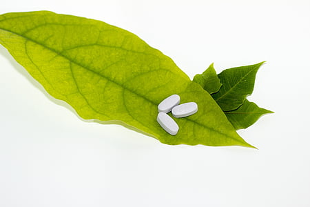 three tablet in ovate leaf thumbnail