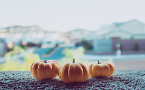 selective focus photography of three orange pumpkins thumbnail