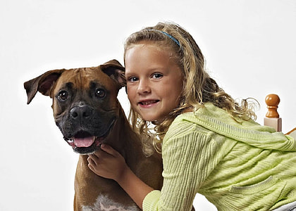 girl holding brown Great Dane dog thumbnail