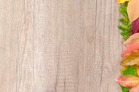 brown wooden surface thumbnail