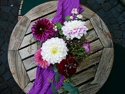 flowers, summer, purple, petals thumbnail