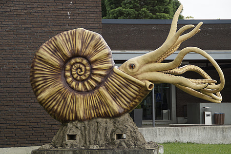 beige and black sea creature statuette on rock during daytime thumbnail