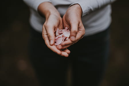 person holding petals thumbnail