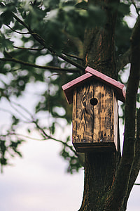Birdhouse on a Tree thumbnail
