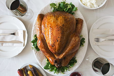 Turkey Dinner Setting Photo thumbnail