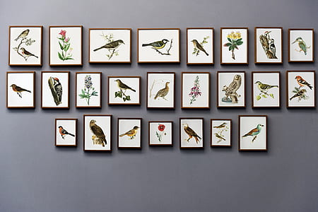 Bird Painting Wall thumbnail