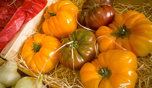 six assorted-color pumpkins thumbnail
