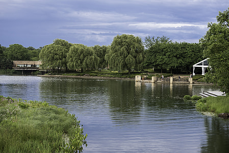 Landscape with lake with trees thumbnail