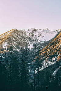 photo of green trees near mountains covered by snow thumbnail
