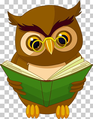 Owl Animated cartoon Drawing Animation, Transparent Owl with Book , brown owl reading book illustraion PNG clipart