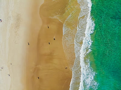 aerial photography of people on beach thumbnail