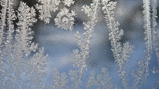 closeup photo of gray leaf glass decor thumbnail