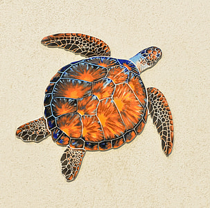 painting of brown and blue turtle thumbnail