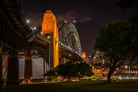 bridge near trees and city buildings during nighttime thumbnail