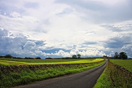 green grass field beside a road thumbnail