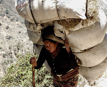woman carrying white sacks with brown grasses on focus photo thumbnail