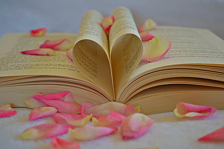 book and pink flower petals thumbnail