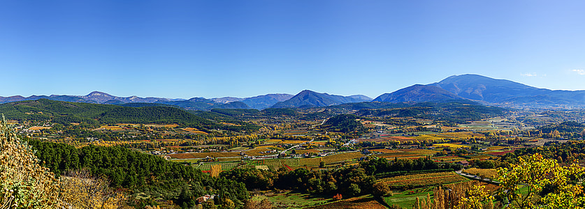 aerial view photography of rice field thumbnail