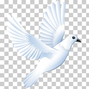 Logo Columbidae Homing Pigeon Architect Mal Kelapa Gading Png