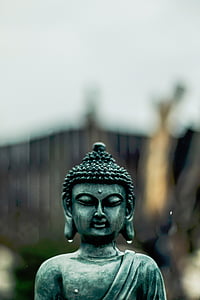 gray concrete Gautama Buddha statue thumbnail
