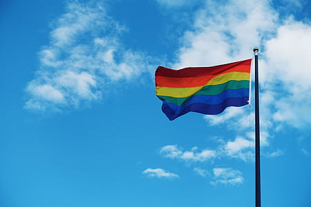 Gay Pride Flag thumbnail