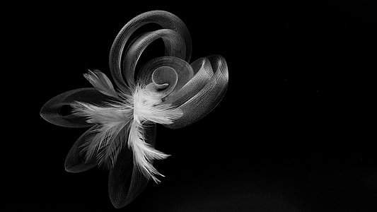 Headband, Flower, Black And White, beauty, foreground, wings thumbnail