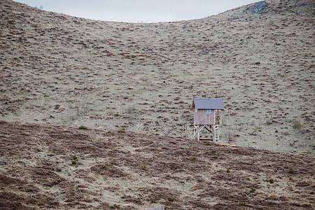 brown watcher's house on sand thumbnail