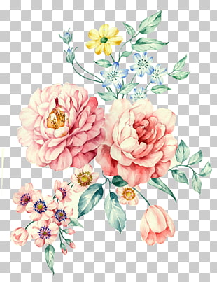 Moutan peony Watercolor painting , Hand-painted watercolor White Peony, pink rose flowers and pink daisy flowers illustration PNG clipart